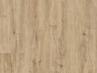 Chanterelle F011