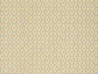 Moy - Lime
