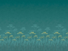Achillea - Aurora