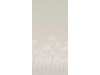 Achillea - Brume
