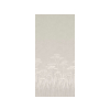 Achillea - Brume