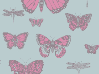 Butterflies & Dragonflies 103/15062