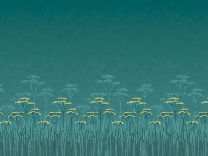 Achillea - Aurora