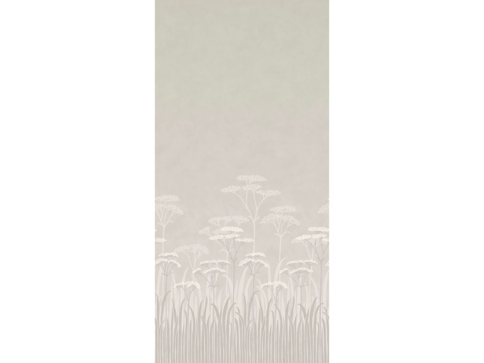 Achillea - Brume