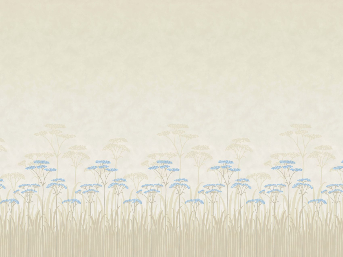 Achillea - Dew
